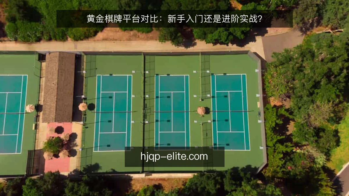 黄金棋牌平台对比：新手入门还是进阶实战？